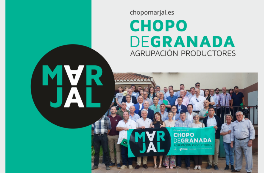 CHOPO DE GRANADA