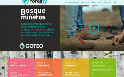 Compensa tus emisiones de CO2 con los proyectos de Foresfy